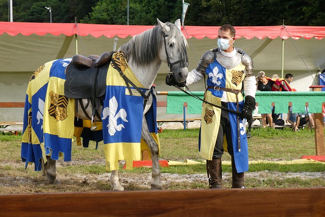 西汉姆显然 西汉姆显然