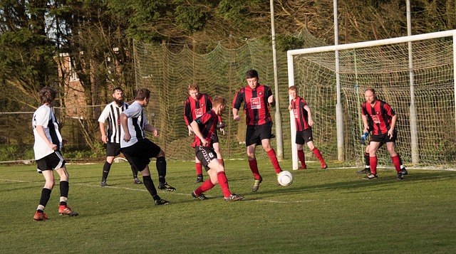 一个完美的 一个完美的