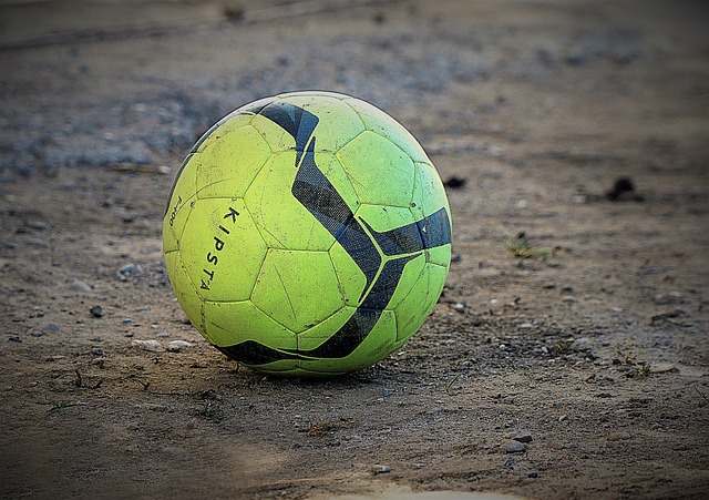 术多样性 术多样性