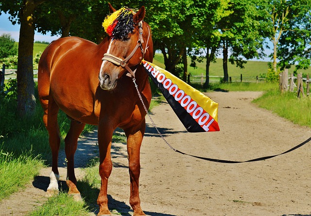 以热血与天 以热血与天