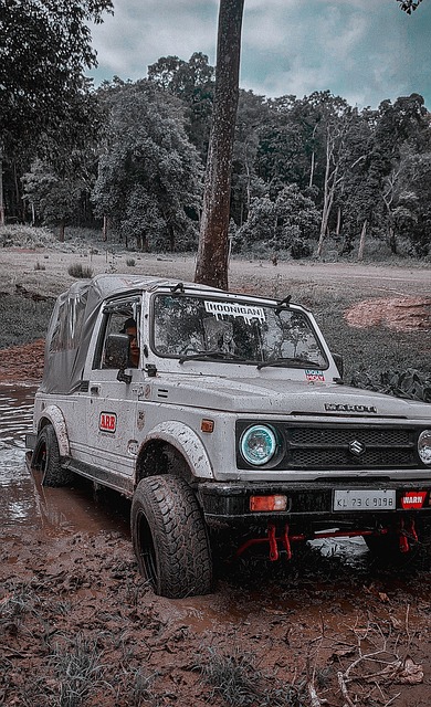 型的明星球 型的明星球