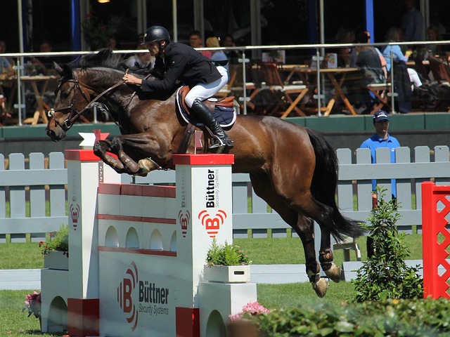 到解决之道 到解决之道