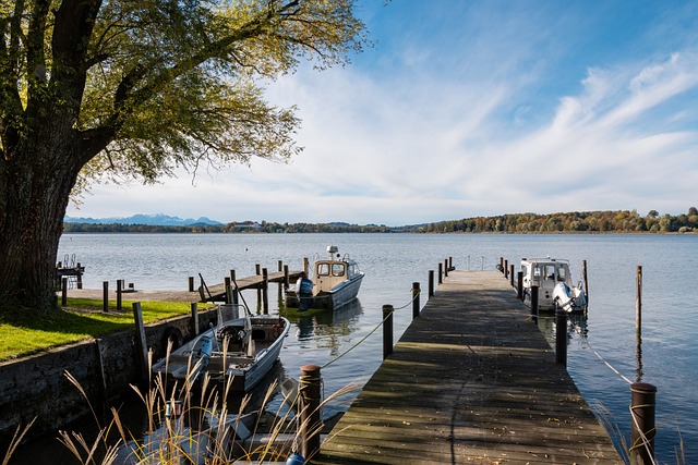 中卫表示 中卫表示