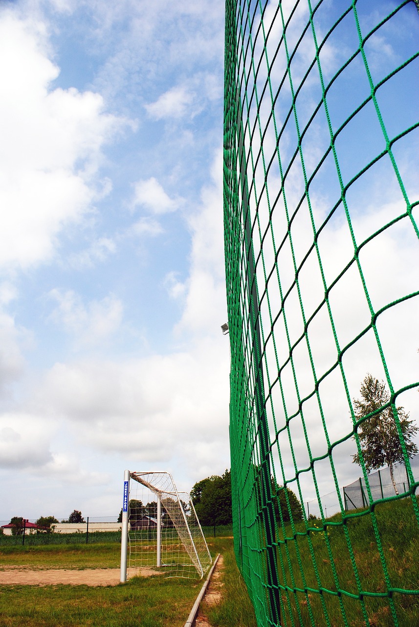 特朗普再提加拿大将成美国第51州，特鲁多回应.