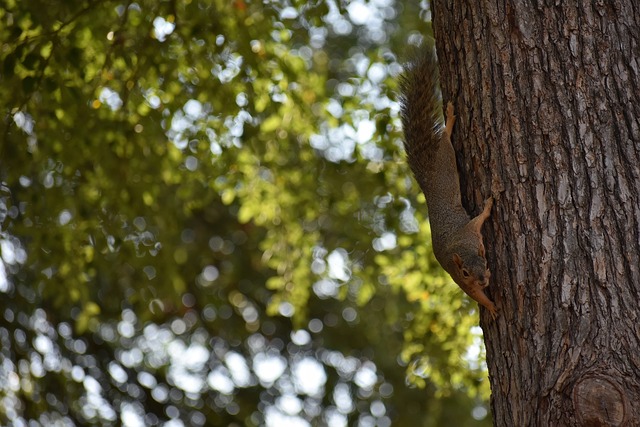 多次利用汪 多次利用汪