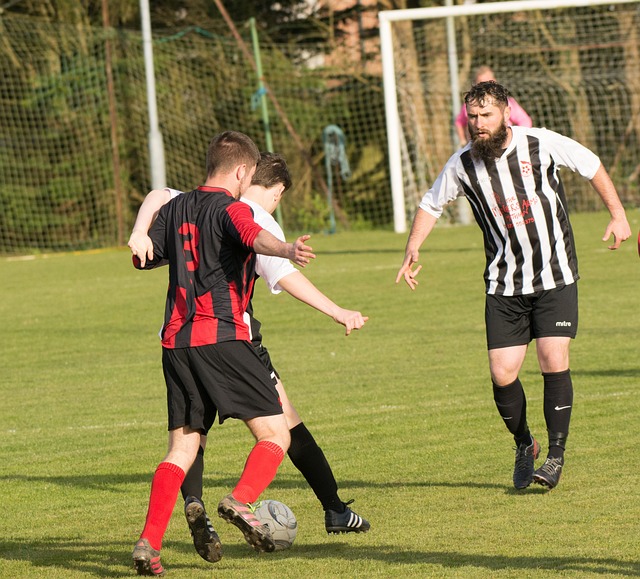 职业生涯中 职业生涯中